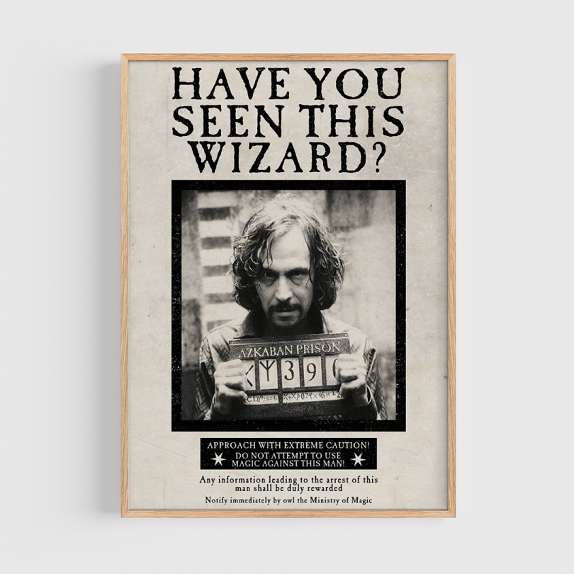 Póster · Have You Seen This Wizard?