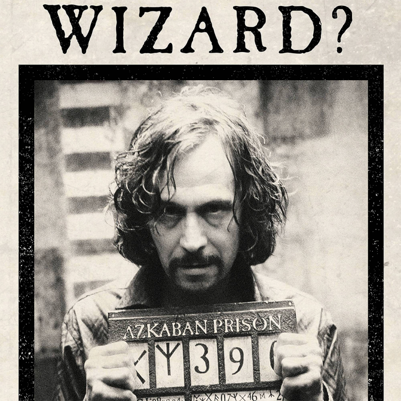 Póster · Have You Seen This Wizard?