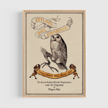 Póster · Eeylops Owl Emporium