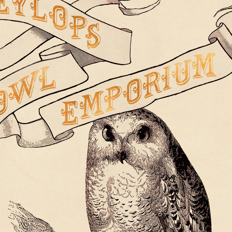 Póster · Eeylops Owl Emporium
