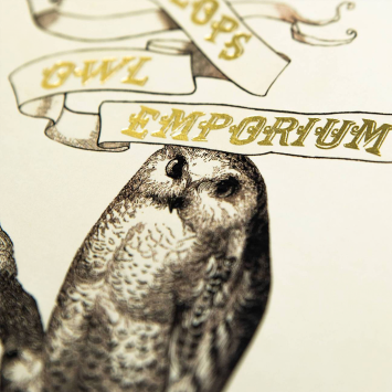 Notecard · Eeylops Owl Emporium