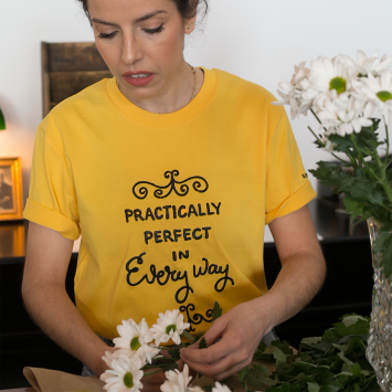 Camiseta · Practically perfect in every way